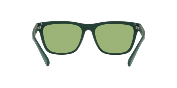 Polo Ralph Lauren PH4167 5421/2  